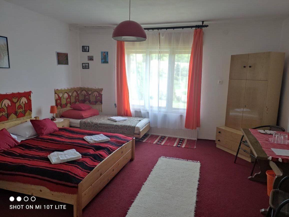 Szajko Vendeghaz Apartment Mucsi Luaran gambar